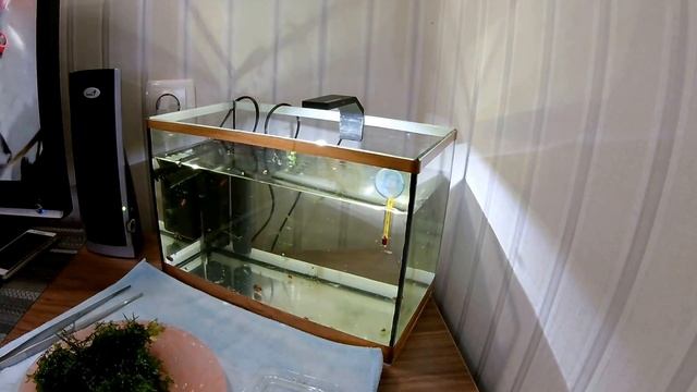 Подмена воды 10 литров. смотреть онлайн