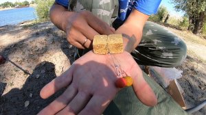 Отдых на Дону. Нереальный клёв карася. Сазан. Рыбалка 2020 на жмых.