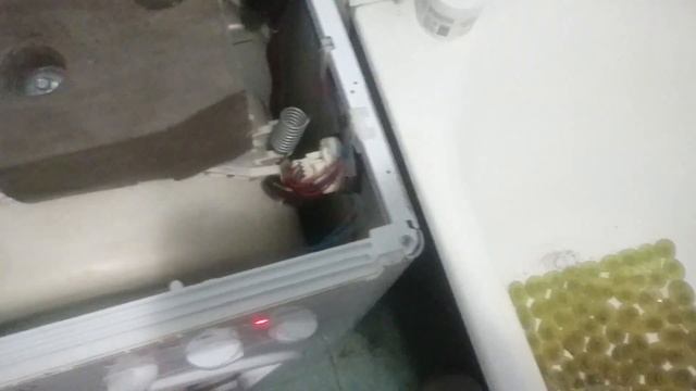 Indesit wisl 83 замена подшипников | Podkluchaem.by смотреть онлайн