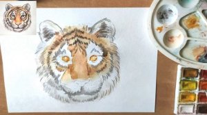 Как нарисовать тигра акварелью
