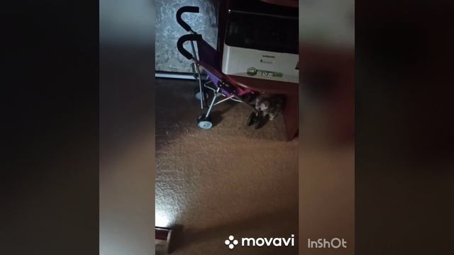 Ручной пылесос Поларис 0724 смотреть онлайн