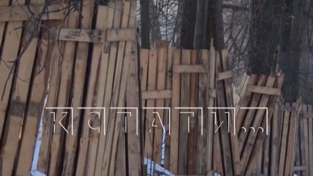 Деревья в парке «Швейцария» взяло под защиту «Всероссийское общество охраны природы» смотреть онлайн