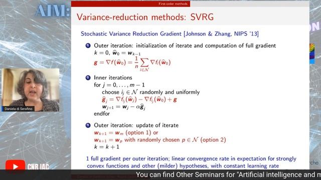 AIM Seminars 2022: Daniela Di Serafino смотреть онлайн