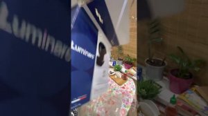 Посуда LUMINARC. Стоит ли покупать