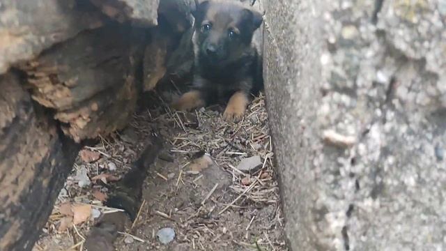 Семья — это и есть то, ради чего стоит жить... смотреть онлайн