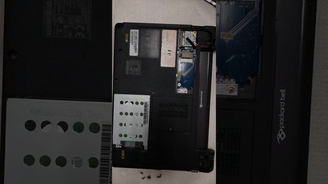 Разбор Packard Bell NCL20