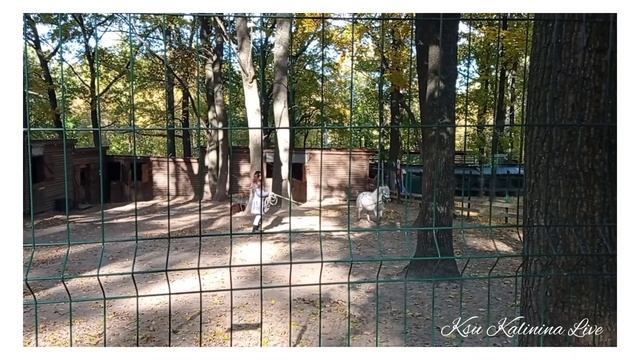 ?️ ХАРЬКОВ ? ПРОГУЛКА ПО ФЕЛЬДМАН ЭКОПАРКУ ? #Харьков #Фельдман_экопарк #Kharkov #Feldman_ecopark ? смотреть онлайн