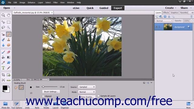 Photoshop Elements 13 Tutorial The Panel Bin and Taskbar Adobe Training смотреть онлайн