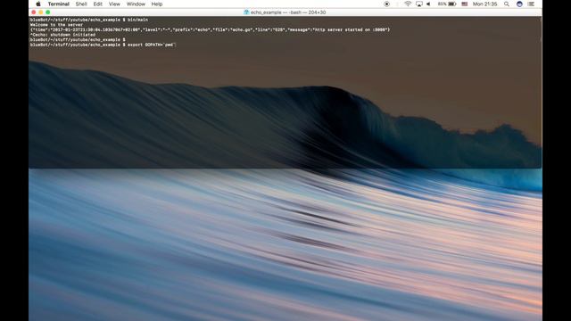 Creating Golang WebServer With Echo - Part 2：Url Params Query Params and Json Responses смотреть онлайн