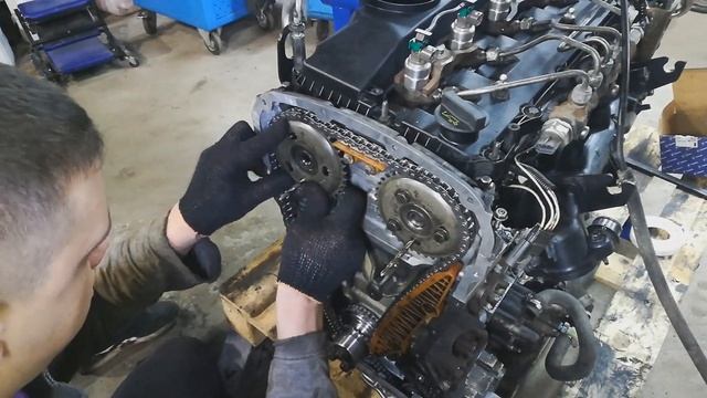 Кто ты Citroen или Ford? И кто в этом виноват? Мотор Puma 2 2 HDi 100 3