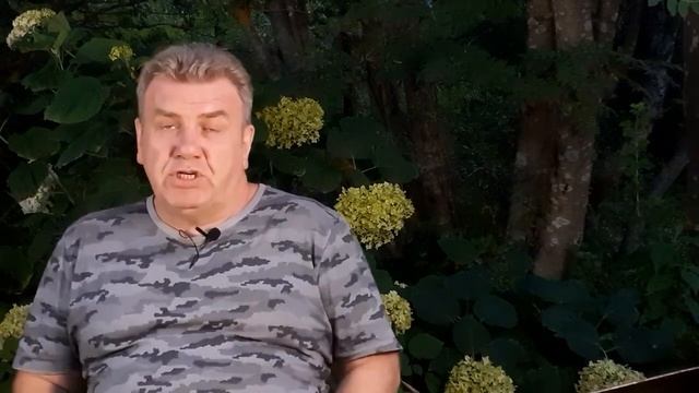 Кирилл Базилевский: Коммерческая недвижимость в Абхазии и нюансы ее приобретения иностранцами смотреть онлайн