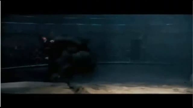 Destino final: La vida secreta de Sirius Black (Trailer) смотреть онлайн