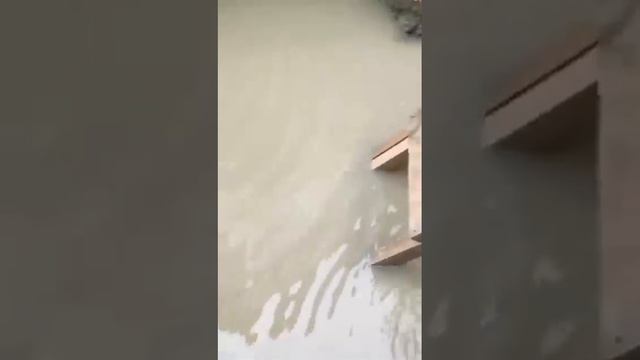 Дренажирование и водоотведение в Краснодаре +7 (938) 417-33-16