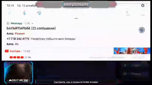Смотрите мой стрим по "Terraria" в "Omlet Arcade"! смотреть онлайн