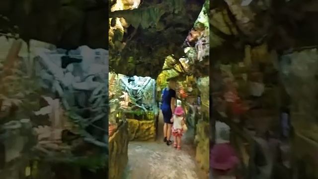 Zoo Daugavpils, Даугавпилс зоосад смотреть онлайн