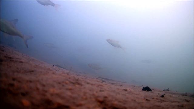 Крупная весенняя плотва!Пензенское водохранилище. смотреть онлайн