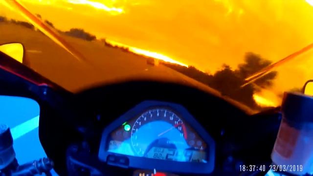 top speed biker 299 km/h blida algerie смотреть онлайн