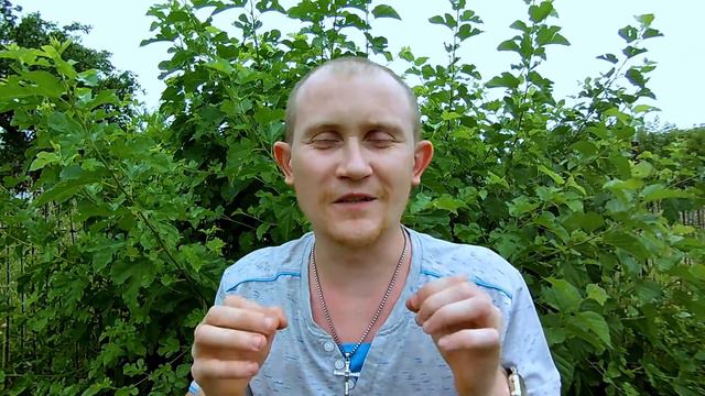 Мой телеграмм канал по базам данных Access смотреть онлайн