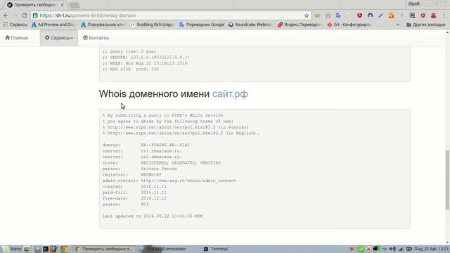 Проверить кириллический домен смотреть онлайн