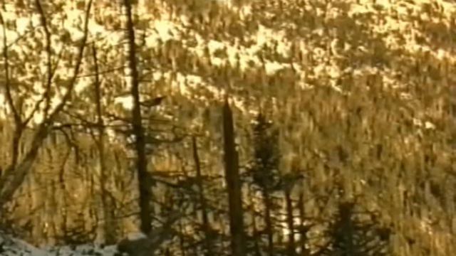 Дальневосточная Авиация МЧС России смотреть онлайн