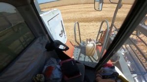 Уборка урожая 2022 Настройка комбайна прямо в поле !