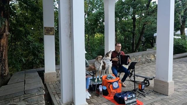 южный город смотреть онлайн