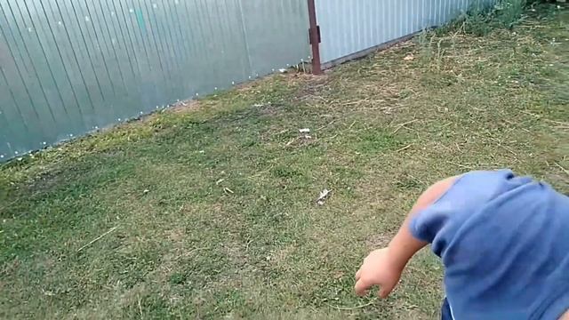 ВЫСТРЕЛИ В ПРАВИЛЬНЫЙ СТАКАН, ЧТОБЫ ВЫЖИТЬ. shoot the right glass to survive смотреть онлайн