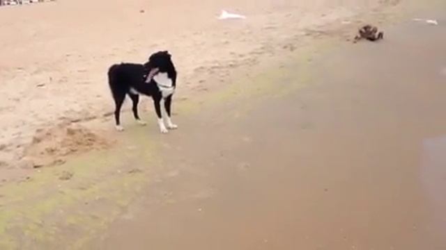 Анапа, Казачий пляж смотреть онлайн