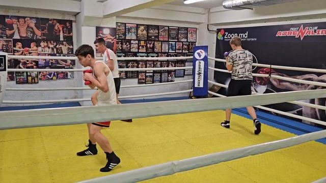 #moldova #бельцы #balti #молдова #бокс #box #boxing #sport #training #sports смотреть онлайн