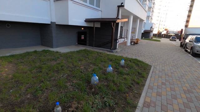 28 10 2021 ЖК Морская Горгиппия смотреть онлайн