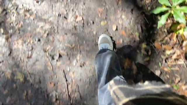 VLOG: ЛАГО-НАКИ/поход в горы/Гуамское ущелье смотреть онлайн