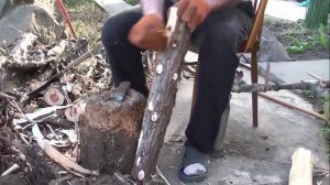 Вынужденная выкорчевка можевельника, снятие коры, заготовка ствола и корня можевельника