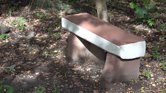 Военный пенсионер 10 лет строил дорогу в Светлогорске смотреть онлайн