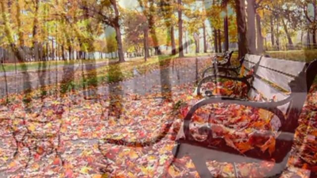 О чём шептал мне мой старый сад. смотреть онлайн