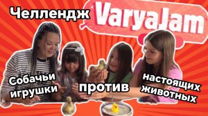 ЧЕЛЛЕНДЖ. СОБАЧЬИ игрушки против НАСТОЯЩИХ ЖИВОТНЫХ
