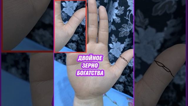 Двойное зерно богатства смотреть онлайн