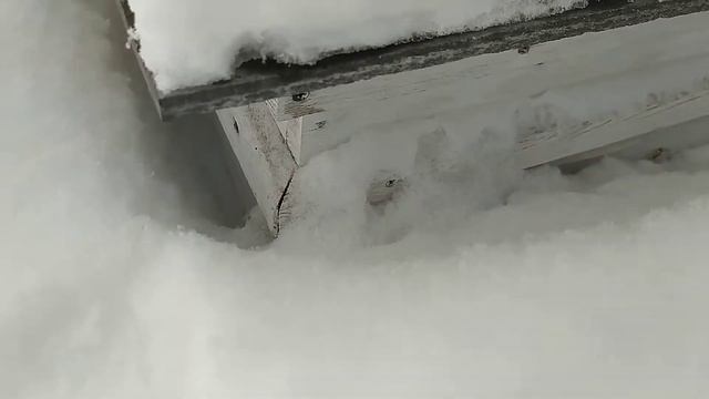 Пчёлы. Зима. смотреть онлайн