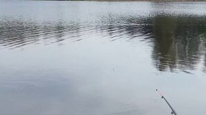 Рыбалка Нерехта Костромская область 08.05.2022