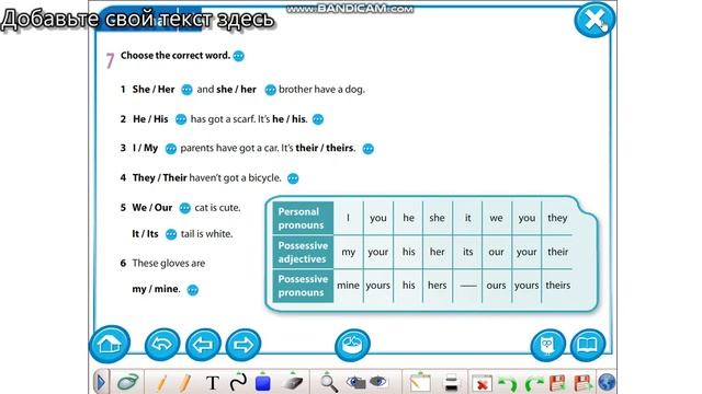 5 Grade Possessive Adjectives\ Pronouns
