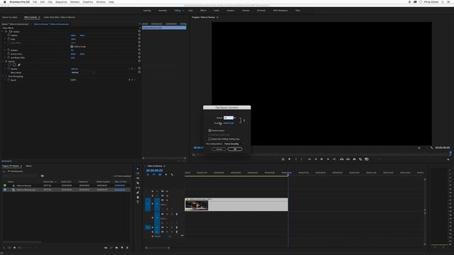 How to Reverse Footage in Premiere Pro смотреть онлайн