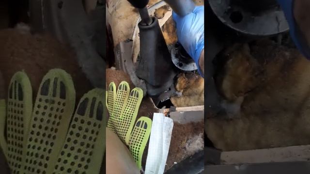 How to change Manual Transmission fluid in a 1986 Ford Ranger/ Bronco II Part 1 смотреть онлайн