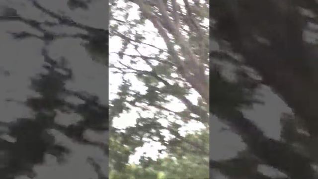 Пожар в Барселоне смотреть онлайн