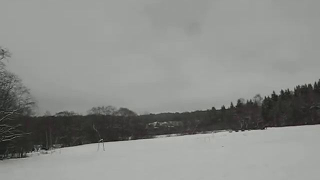 Кантри Резорт - катание На Хаски 2010 смотреть онлайн