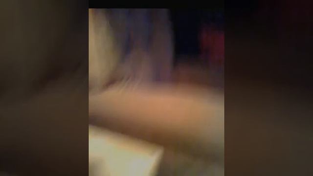 My New Bass- Ibanez SR506 смотреть онлайн