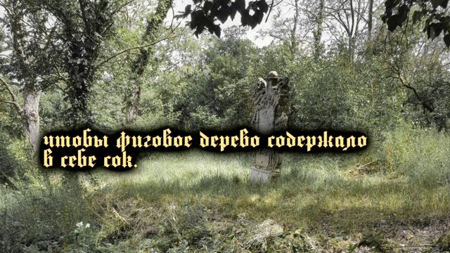 Пути к себе - Марк Аврелий смотреть онлайн