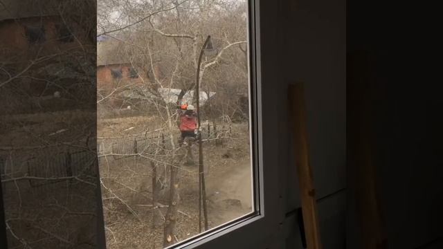 Зажало пилу! Дровосек повис на дереве! смотреть онлайн