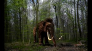 Звук шерстистого мамонта