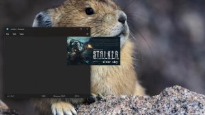 STALKER Clear Sky - rxEngine.exe error on start