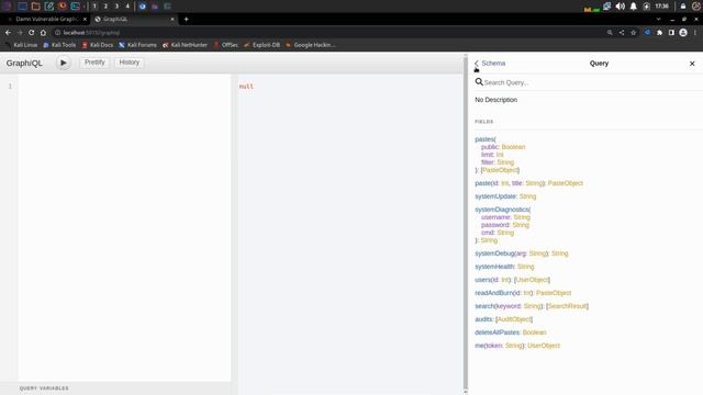 Graphql Endpoint Analysis | Damn Vulnerable Graphql Application | смотреть онлайн