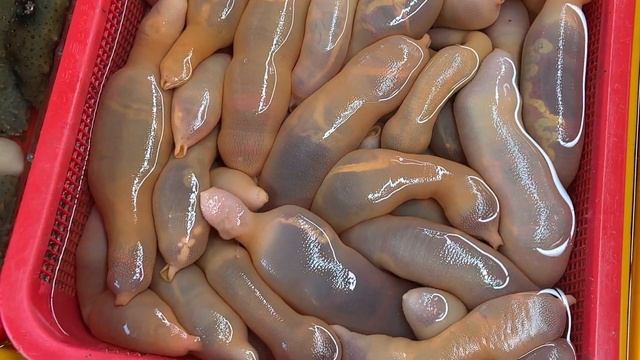 РЫНОК МОРЕПРОДУКТОВ В ЮЖНОЙ КОРЕЕ ПУСАН смотреть онлайн